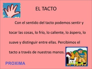 EL TACTO
Con el sentido del tacto podemos sentir y
tocar las cosas, lo frío, lo caliente, lo áspero, lo
suave y distinguir entre ellas. Percibimos el
tacto a través de nuestras manos.
 