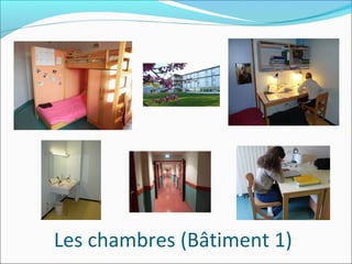 Les chambres (Bâtiment 1)
 