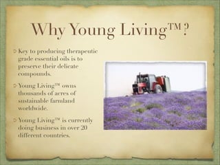 Young Living™ tests EVERY batch of oil, yet only 28% of all oils
are accepted.
The rest are used on Young Living™ farms as...