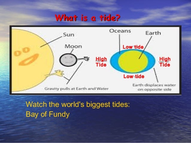 an introduction to the tidal power in the bay of fundy Canute presentation fundy bay - case study environmental impacts of tidal energy city by the bay san francisco’s tidal power. an introduction to the tidal power in the bay of fundy Canute presentation fundy bay - case study environmental impacts of tidal energy city by the bay san francisco’s tidal power.