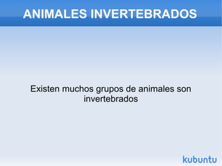 ANIMALES INVERTEBRADOS
Existen muchos grupos de animales son
invertebrados
 