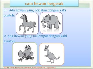 cara hewan bergerak
1. Ada hewan yang berjalan dengan kaki
contoh:
2. Ada hewan yang melompat dengan kaki
Contoh:
BAB 1 Tubuh Hewan dan Tumbuhan, Tubuh Hewan dan Kegunaannya
 