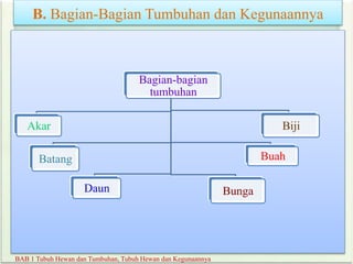 B. Bagian-Bagian Tumbuhan dan Kegunaannya
BAB 1 Tubuh Hewan dan Tumbuhan, Tubuh Hewan dan Kegunaannya
Bagian-bagian
tumbuhan
Akar
Batang
Daun Bunga
Buah
Biji
 