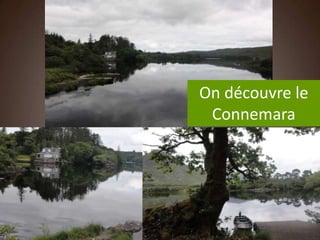 On découvre le
 Connemara
 