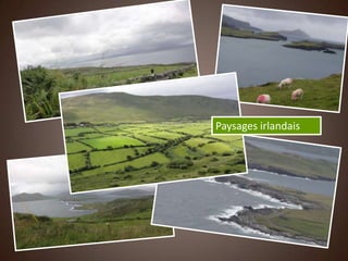 Paysages irlandais
 