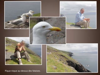 Pique-nique au-dessus des falaises.
 