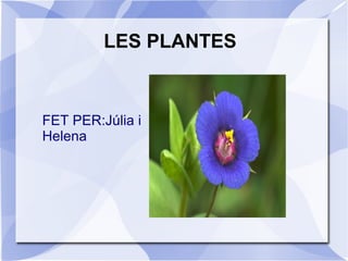 LES PLANTES
FET PER:Júlia i
Helena
 