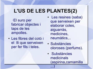 L'US DE LES PLANTES(2)
·El suro per
fabricar objectes i
taps de les
ampolles.
● Les fibres del cotó i
el lli que serveixen
per fer fils i teles.
● Les resines (saba)
que serveixen per
elaborar coles,
aiguarràs,
medicines,
neumàtics,..
● Substàncies
oloroses (perfums).
● Substàncies
medicinals
(aspirina,camamilla
...)
 