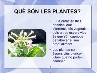 QUÈ SÓN LES PLANTES?
● La característica
principal que
diferencia els vegetals
dels altres éssers vius
és que són capaços
de fabricar el seu
propi aliment.
● Les plantes són
éssers vius pluricel-
lulars que no poden
caminar.
●
 
