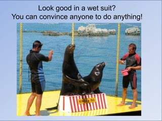 Look good in a wet suit?
You can convince anyone to do anything!
 