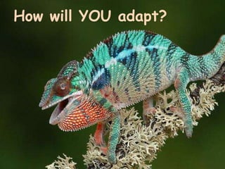 How will YOU adapt?
 