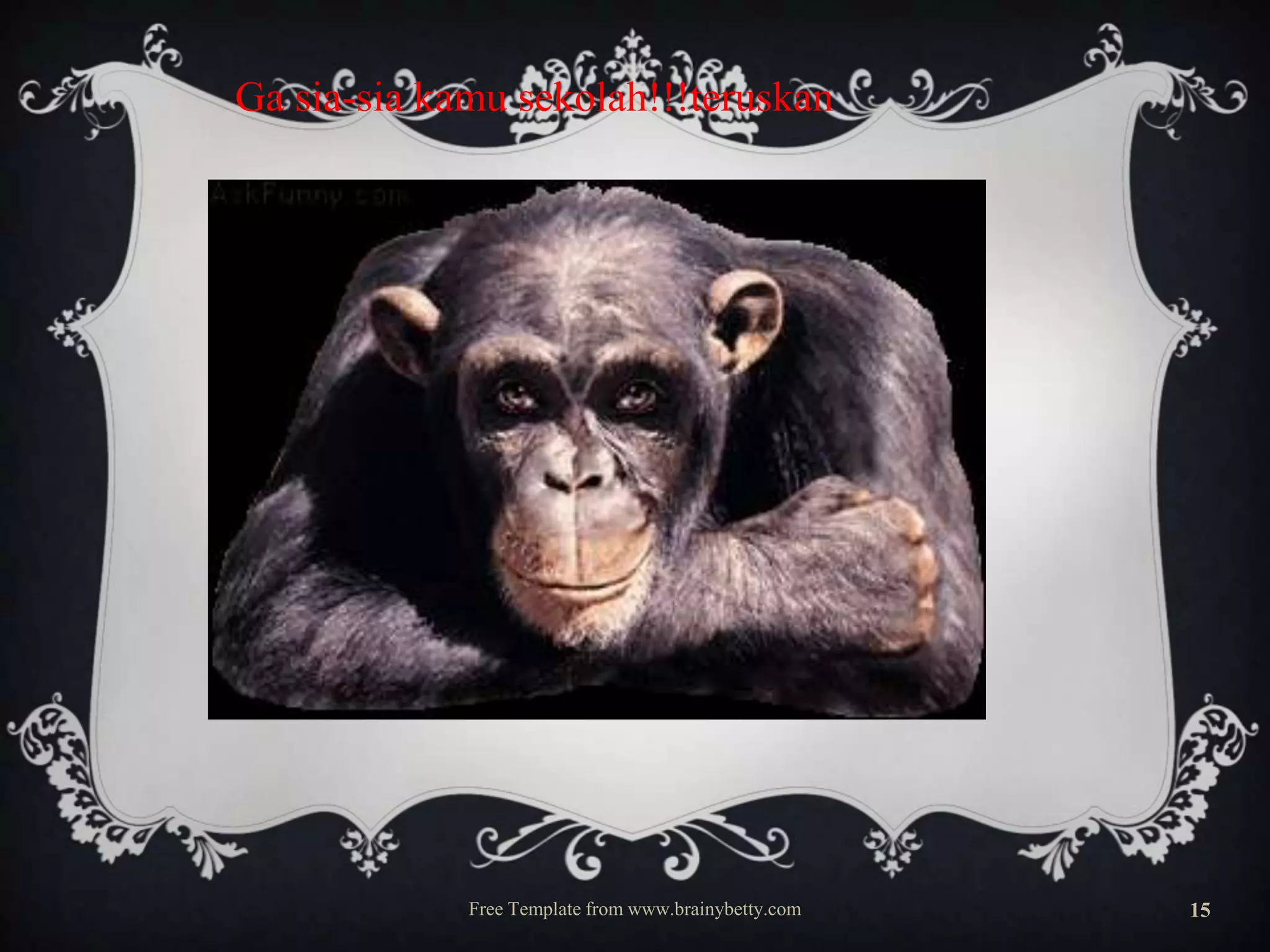 Ga sia-sia kamu sekolah!!!teruskan

Free Template from www.brainybetty.com

15

 