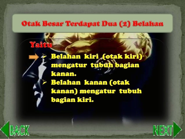 Power point kelompok 2 otak besar