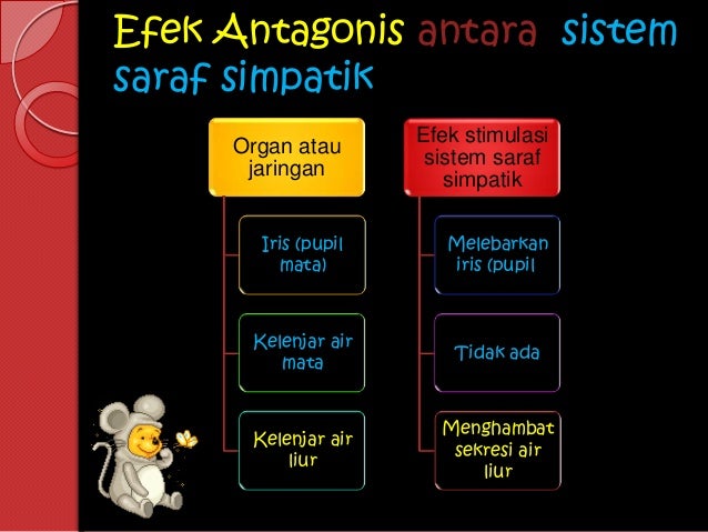 Power point kelompok saraf simpatik slideshare