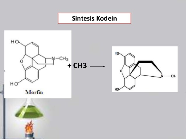 Powerpoint kimia farmasi tentang analgetika