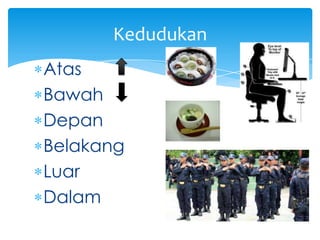 Kedudukan
Atas
Bawah
Depan
Belakang
Luar
Dalam

 