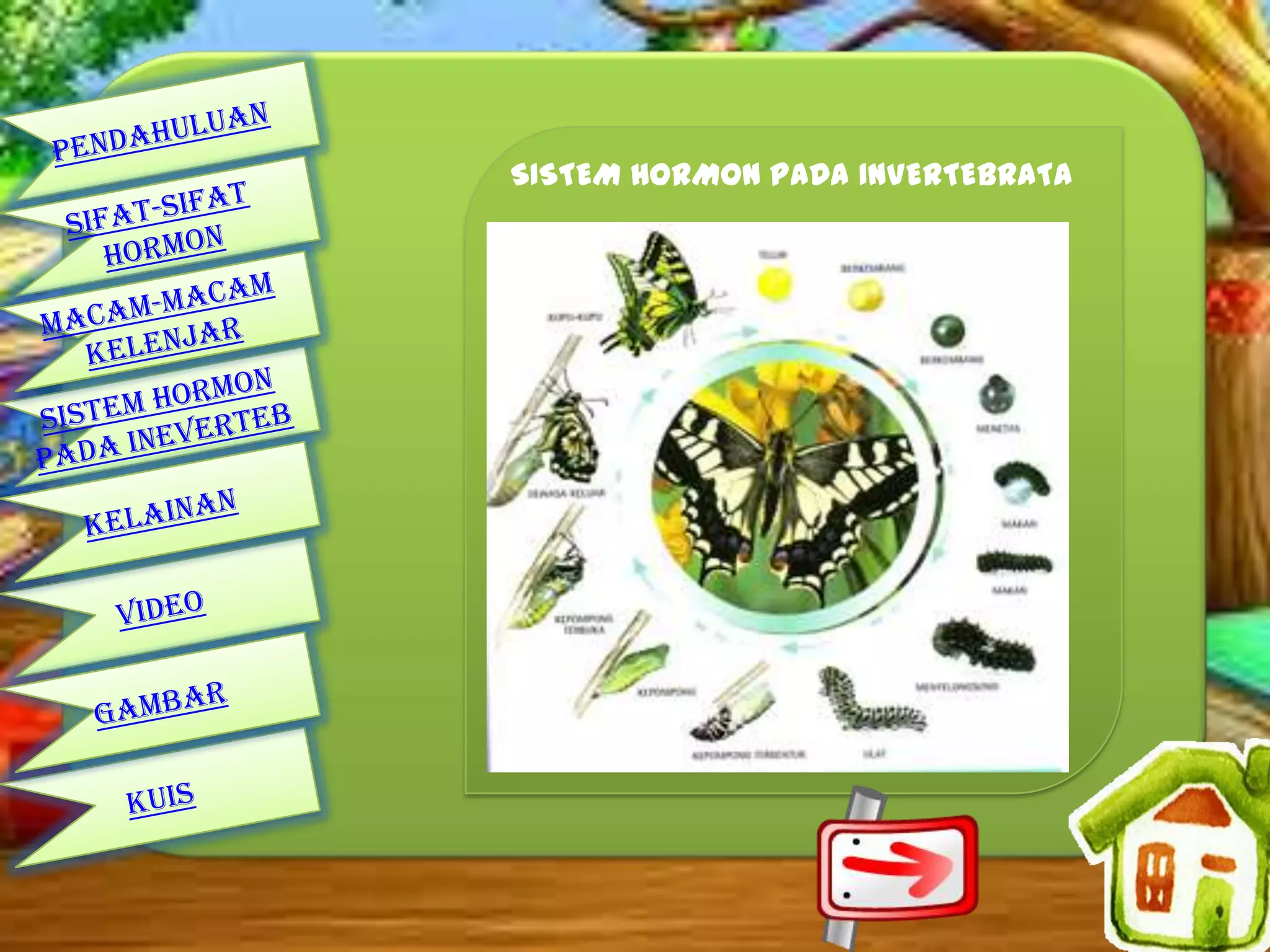 SISTEM HORMON PADA INVERTEBRATA

 