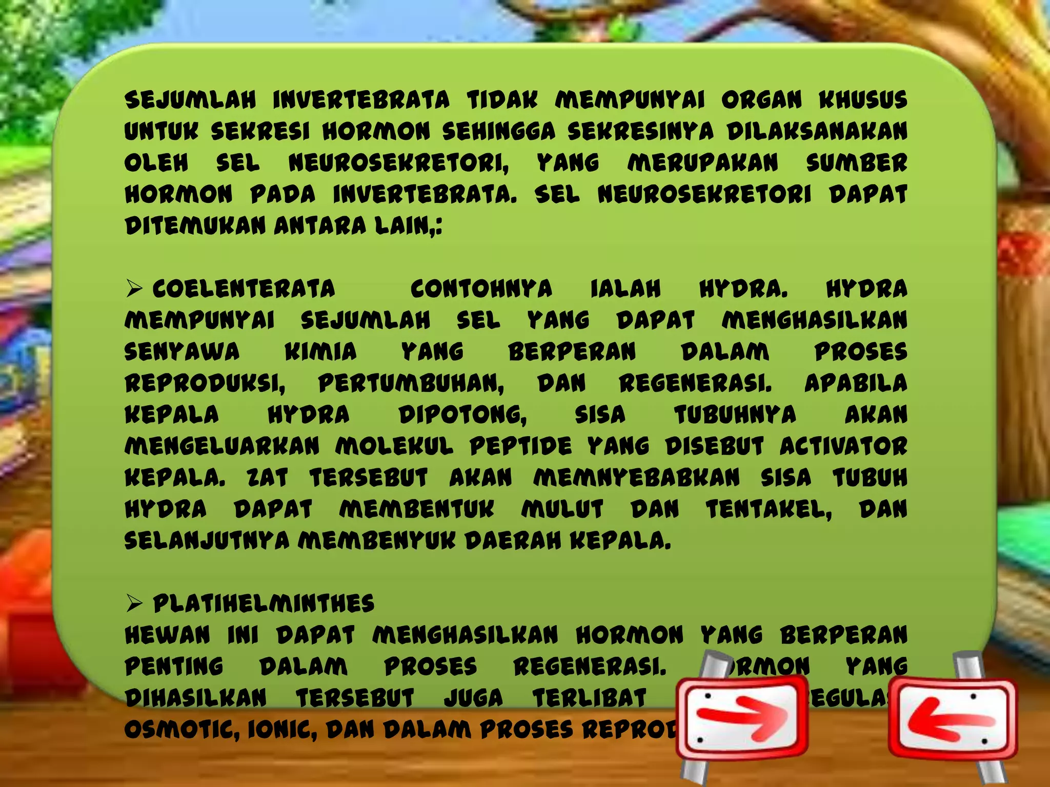 Sejumlah invertebrata tidak mempunyai organ khusus
untuk sekresi hormon sehingga sekresinya dilaksanakan
oleh sel neurosekretori, yang merupakan sumber
hormon pada invertebrata. Sel neurosekretori dapat
ditemukan antara lain,:
 Coelenterata
contohnya ialah Hydra. Hydra
mempunyai sejumlah sel yang dapat menghasilkan
senyawa
kimia
yang
berperan
dalam
proses
reproduksi, pertumbuhan, dan regenerasi. Apabila
kepala
hydra
dipotong,
sisa
tubuhnya
akan
mengeluarkan molekul peptide yang disebut activator
kepala. Zat tersebut akan memnyebabkan sisa tubuh
hydra dapat membentuk mulut dan tentakel, dan
selanjutnya membenyuk daerah kepala.
 Platihelminthes
Hewan ini dapat menghasilkan hormon yang berperan
penting dalam proses regenerasi. Hormon yang
dihasilkan tersebut juga terlibat dalam regulasi
osmotic, ionic, dan dalam proses reproduksi.

 