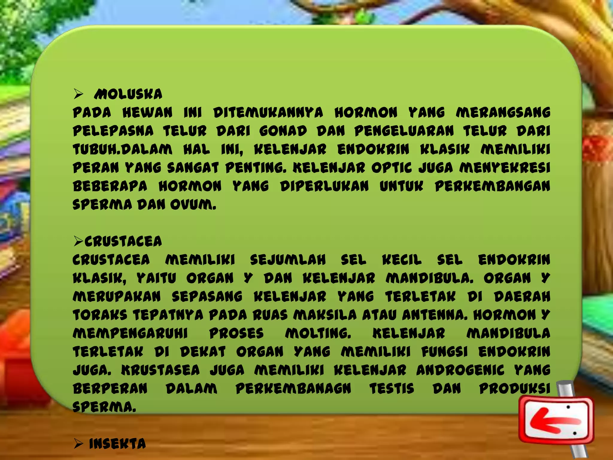  Moluska
Pada hewan ini ditemukannya hormon yang merangsang
pelepasna telur dari gonad dan pengeluaran telur dari
tubuh.dalam hal ini, kelenjar endokrin klasik memiliki
peran yang sangat penting. Kelenjar optic juga menyekresi
beberapa hormon yang diperlukan untuk perkembangan
sperma dan ovum.
Crustacea
Crustacea memiliki sejumlah sel kecil sel endokrin
klasik, yaitu organ Y dan kelenjar mandibula. Organ Y
merupakan sepasang kelenjar yang terletak di daerah
toraks tepatnya pada ruas maksila atau antenna. Hormon Y
mempengaruhi proses molting. Kelenjar mandibula
terletak di dekat organ Yang memiliki fungsi endokrin
juga. Krustasea juga memiliki kelenjar androgenic yang
berperan dalam perkembanagn testis dan produksi
sperma.
 Insekta

 