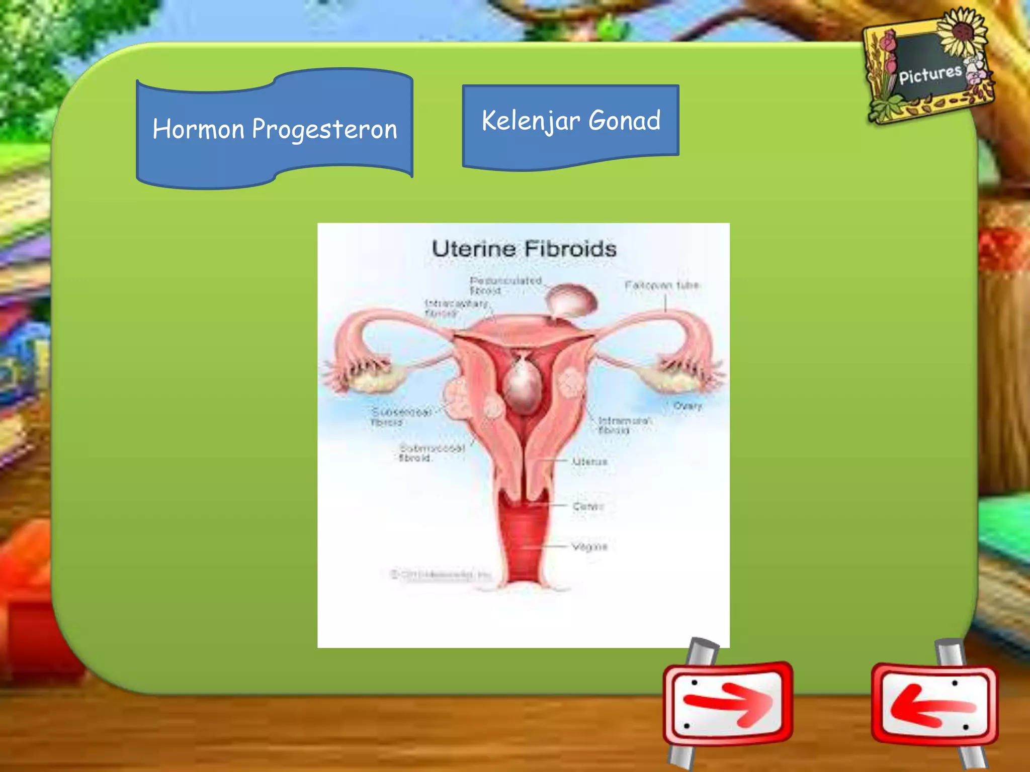 Hormon Progesteron

Kelenjar Gonad

 