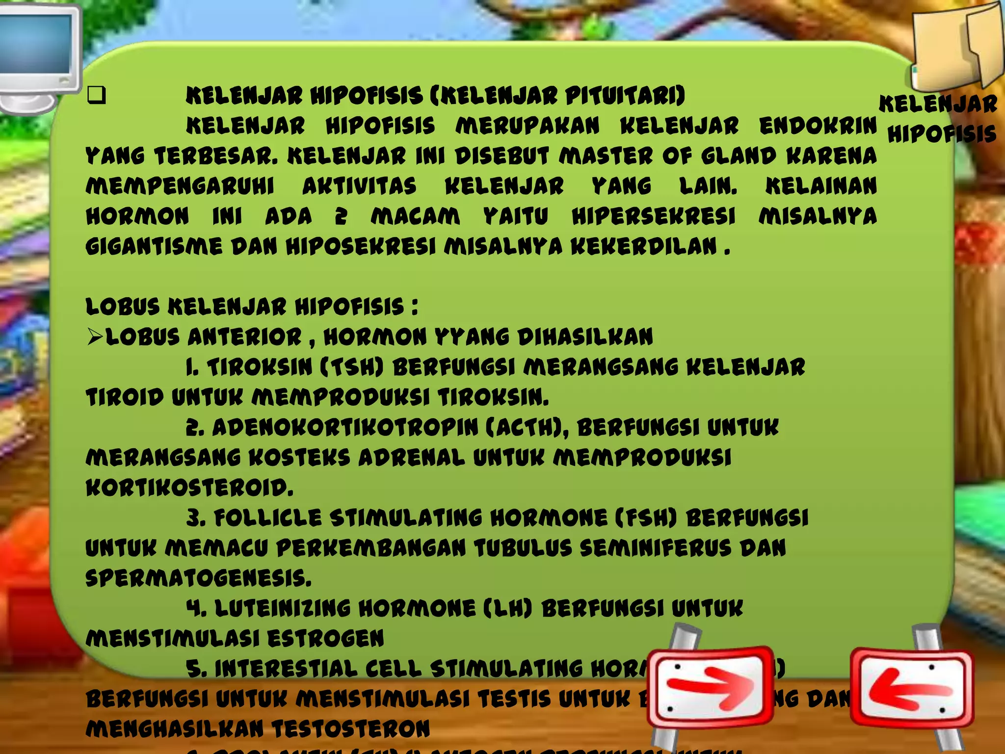 KELENJAR HIPOFISIS (KELENJAR PITUITARI)
Kelenjar
Kelenjar hipofisis merupakan kelenjar endokrin Hipofisis
yang terbesar. Kelenjar ini disebut master of gland karena
mempengaruhi aktivitas kelenjar yang lain. Kelainan
hormon ini ada 2 macam yaitu hipersekresi misalnya
gigantisme dan hiposekresi misalnya kekerdilan .


Lobus Kelenjar Hipofisis :
Lobus anterior , hormon yyang dihasilkan
1. Tiroksin (TSH) berfungsi merangsang kelenjar
tiroid untuk memproduksi tiroksin.
2. Adenokortikotropin (ACTH), berfungsi untuk
merangsang kosteks adrenal untuk memproduksi
kortikosteroid.
3. Follicle Stimulating Hormone (FSH) berfungsi
untuk memacu perkembangan tubulus seminiferus dan
spermatogenesis.
4. Luteinizing Hormone (LH) berfungsi untuk
menstimulasi estrogen
5. Interestial Cell Stimulating Hormone (ICSH)
berfungsi untuk menstimulasi testis untuk berkembang dan
menghasilkan testosteron

 