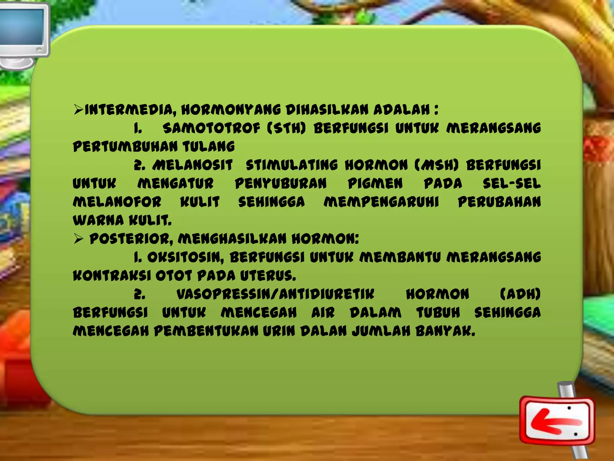 Intermedia, hormonyang dihasilkan adalah :
1. Samototrof (STH) berfungsi untuk merangsang
pertumbuhan tulang
2. Melanosit stimulating hormon (MSH) berfungsi
untuk mengatur penyuburan pigmen pada sel-sel
melanofor kulit sehingga mempengaruhi perubahan
warna kulit.
 Posterior, menghasilkan hormon:
1. Oksitosin, berfungsi untuk membantu merangsang
kontraksi otot pada uterus.
2.
Vasopressin/antidiuretik
hormon
(ADH)
berfungsi untuk mencegah air dalam tubuh sehingga
mencegah pembentukan urin dalan jumlah banyak.

 
