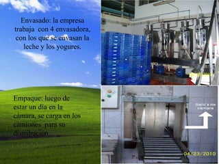 Envasado: la empresa
trabaja con 4 envasadora,
 con los que se envasan la
    leche y los yogures.




Empaque: luego de
estar un día en la
cámara, se carga en los
camiones para su
distribución.
 