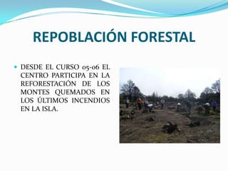 REPOBLACIÓNFORESTALDESDE EL CURSO 05-06 EL CENTRO PARTICIPA EN LA REFORESTACIÓN DE LOS MONTES QUEMADOS EN LOS ÚLTIMOS INCENDIOS EN LA ISLA.