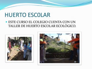 HUERTO ESC0LARESTE CURSO EL COLEGIO CUENTA CON UN TALLER DE HUERTO ESCOLAR ECOLÓGICO.
