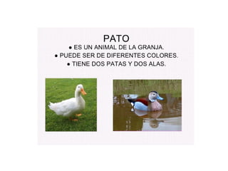 Power point la granja