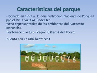 Características del parque
 • Donado en 1991 a la administración Nacional de Parques
 por el Dr. Troels M. Pedersen.
•Área representativa de los ambientes del Noroeste
correntino.
•Pertenece a la Eco- Región Esteros del Iberá.

•Cuenta con 17.680 hectáreas.
 