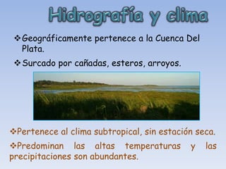 Geográficamente pertenece a la Cuenca Del
  Plata.
 Surcado por cañadas, esteros, arroyos.




Pertenece al clima subtropical, sin estación seca.
Predominan las altas temperaturas          y   las
precipitaciones son abundantes.
 