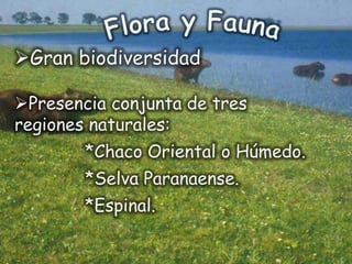Gran biodiversidad

Presencia conjunta de tres
regiones naturales:
        *Chaco Oriental o Húmedo.
        *Selva Paranaense.
        *Espinal.
 