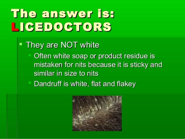 Everything About Lice Removal You Hoped To Never Need To Know From L