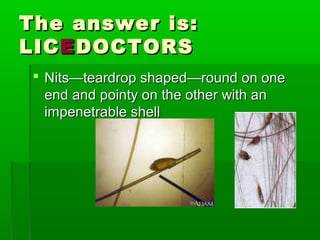 The answer is:The answer is:
LICLICEEDOCTORSDOCTORS
 Nits—teardrop shaped—round on oneNits—teardrop shaped—round on one
end and pointy on the other with anend and pointy on the other with an
impenetrable shellimpenetrable shell
 