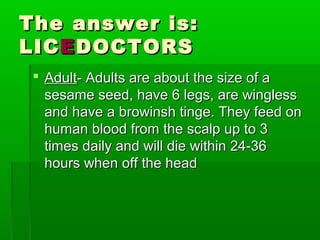 The answer is:The answer is:
LICLICEEDOCTORSDOCTORS
 AdultAdult- Adults are about the size of a- Adults are about the size of a
sesame seed, have 6 legs, are winglesssesame seed, have 6 legs, are wingless
and have a browinsh tinge. They feed onand have a browinsh tinge. They feed on
human blood from the scalp up to 3human blood from the scalp up to 3
times daily and will die within 24-36times daily and will die within 24-36
hours when off the headhours when off the head
 