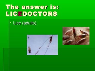 The answer is:The answer is:
LICLICEEDOCTORSDOCTORS
 Lice (adults)Lice (adults)
 