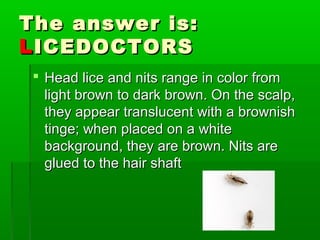 The answer is:The answer is:
LLICEDOCTORSICEDOCTORS
 Head lice and nits range in color fromHead lice and nits range in color from
light brown to dark brown. On the scalp,light brown to dark brown. On the scalp,
they appear translucent with a brownishthey appear translucent with a brownish
tinge; when placed on a whitetinge; when placed on a white
background, they are brown. Nits arebackground, they are brown. Nits are
glued to the hair shaftglued to the hair shaft
 