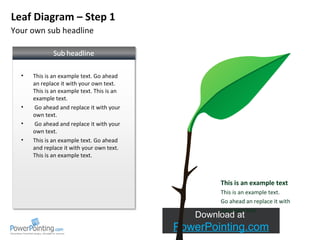 Your own sub headline Leaf Diagram – Step 1 This is an example text This is an example text.  Go ahead an replace it with your own text ,[object Object],[object Object],[object Object],[object Object]