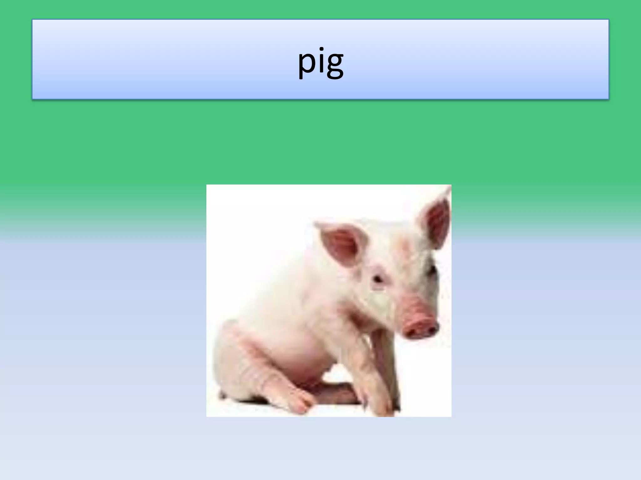 Powerpoint learning task | PPT