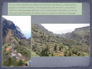 Powerpoint les canaries 1
