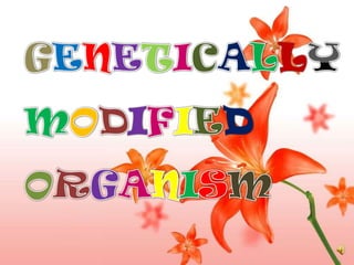 GENETICALLY  MODIFIED ORGANISM 