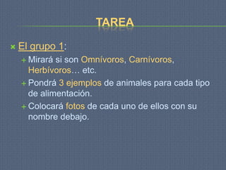TAREA

   El grupo 1:
     Mirará si son Omnívoros, Carnívoros,
      Herbívoros… etc.
     Pondrá 3 ejemplos de animales para cada tipo
      de alimentación.
     Colocará fotos de cada uno de ellos con su
      nombre debajo.
 