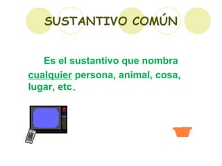 SUSTANTIVO COMÚN
Es el sustantivo que nombra
cualquier persona, animal, cosa,
lugar, etc.
 