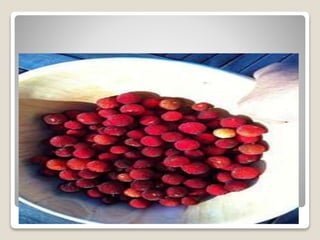 Arbutus Unedo, Special Fruits In
Algarian
 
