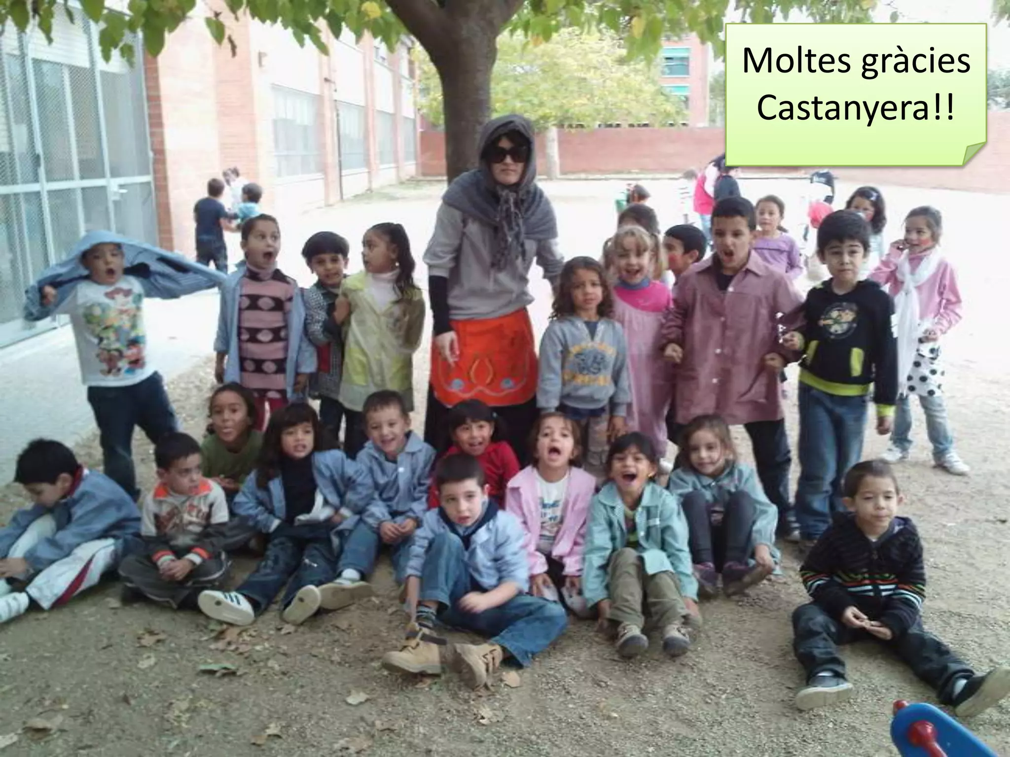 Utilizem fulles del pati …