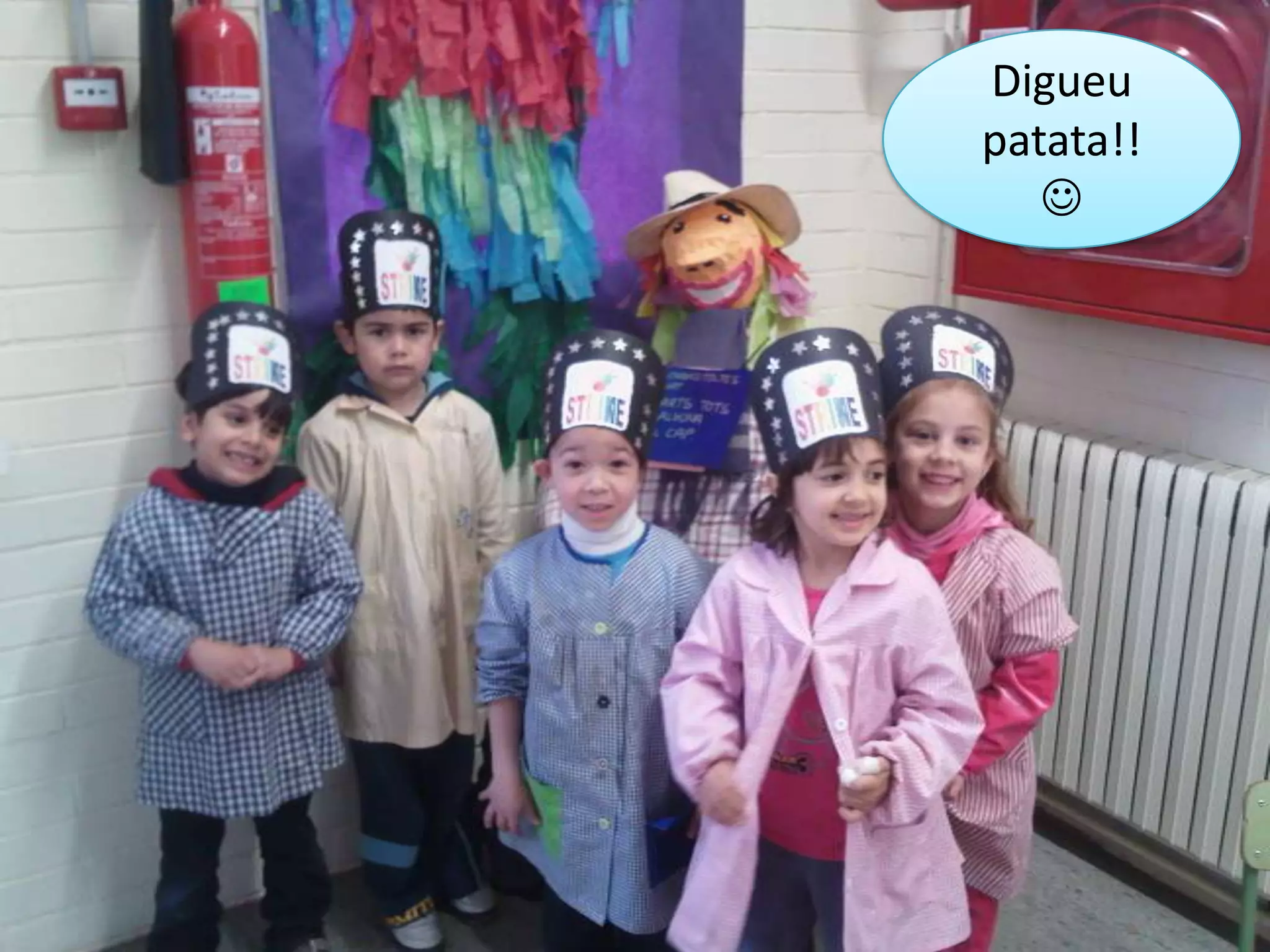 Disfressats de bitlles…