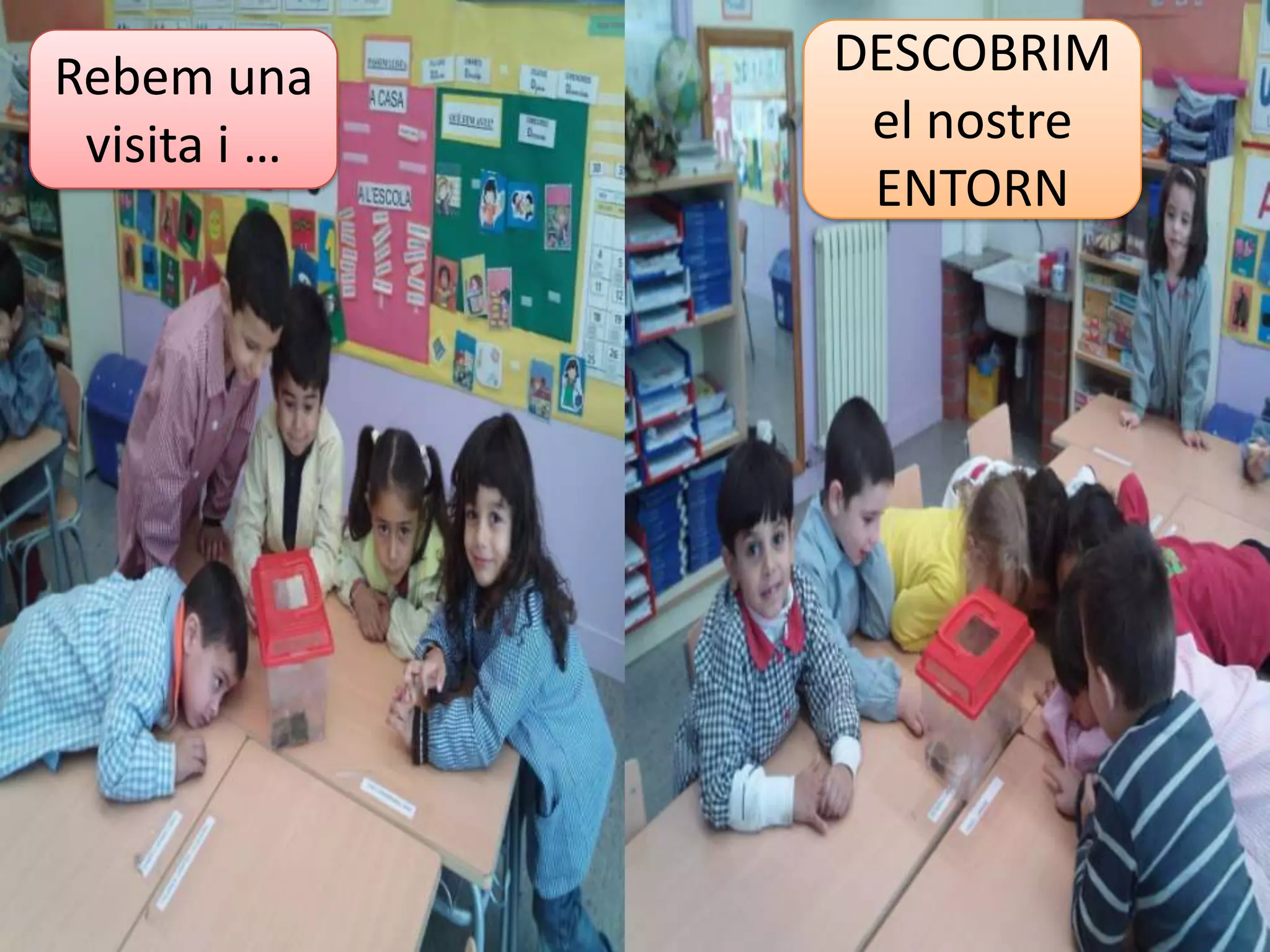 Gràcies per acompanyar-nos i ajudar-nos!! 