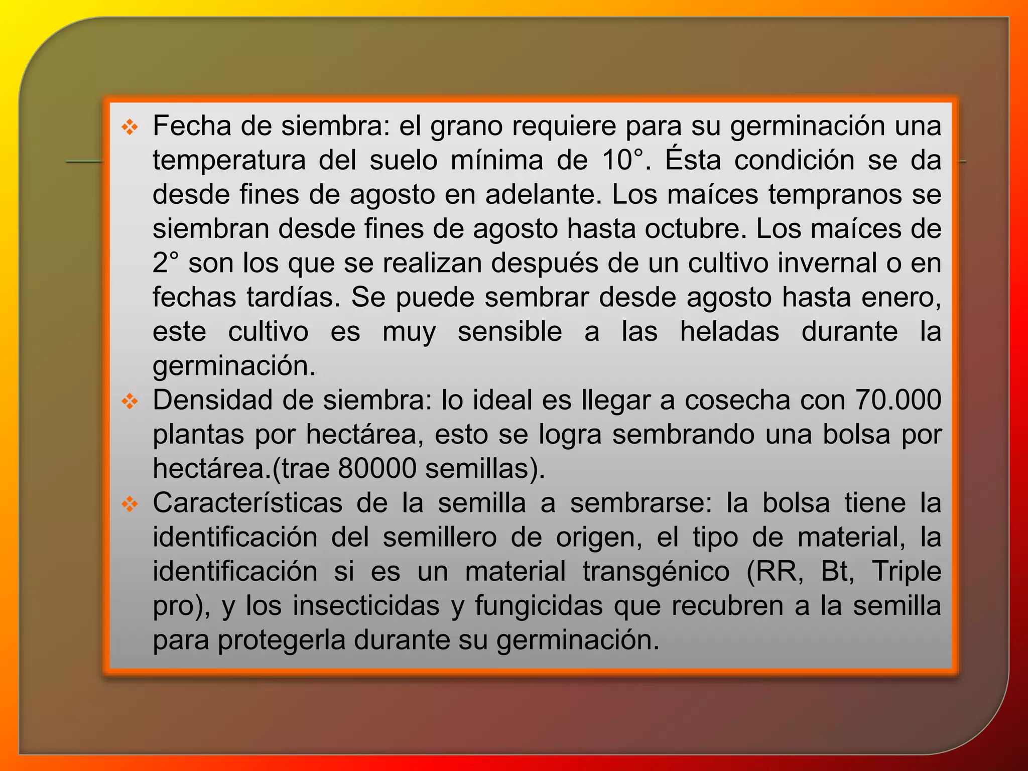  Fecha de siembra: el grano requiere para su germinación una 
temperatura del suelo mínima de 10°. Ésta condición se da 
desde fines de agosto en adelante. Los maíces tempranos se 
siembran desde fines de agosto hasta octubre. Los maíces de 
2° son los que se realizan después de un cultivo invernal o en 
fechas tardías. Se puede sembrar desde agosto hasta enero, 
este cultivo es muy sensible a las heladas durante la 
germinación. 
 Densidad de siembra: lo ideal es llegar a cosecha con 70.000 
plantas por hectárea, esto se logra sembrando una bolsa por 
hectárea.(trae 80000 semillas). 
 Características de la semilla a sembrarse: la bolsa tiene la 
identificación del semillero de origen, el tipo de material, la 
identificación si es un material transgénico (RR, Bt, Triple 
pro), y los insecticidas y fungicidas que recubren a la semilla 
para protegerla durante su germinación. 
 