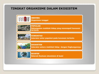 Contoh Individu powerpoint MAKHLUK HIDUP DAN LINGKUNGANNYA-2.pptx